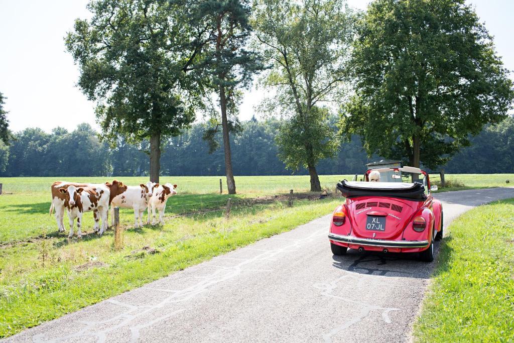 Landhuishotel De Bloemenbeek De Lutte Dış mekan fotoğraf